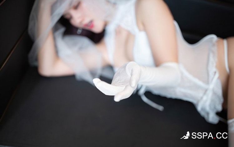 谷歌蜘蛛池出租服务：外贸与电商推广的终极SEO解决方案