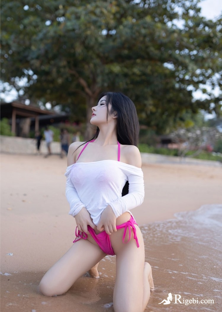 谷歌留痕代发服务:Wayfair与Google Ads推广的完美结合