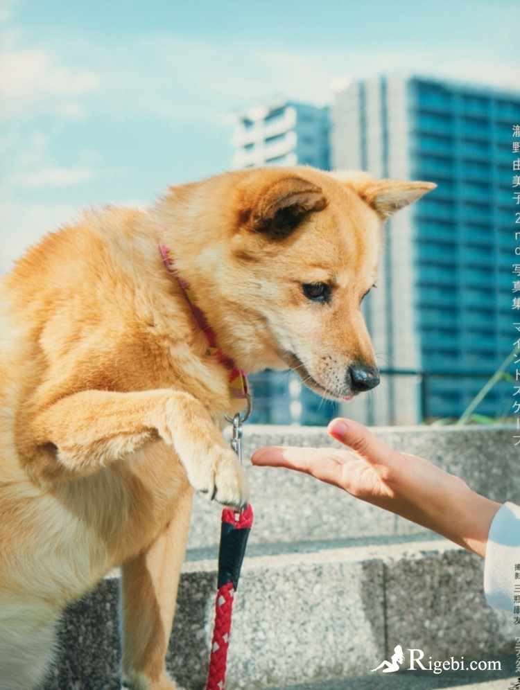️海外抖音tiktok ck号交易平台 - 福瑞网 haoba.cyou