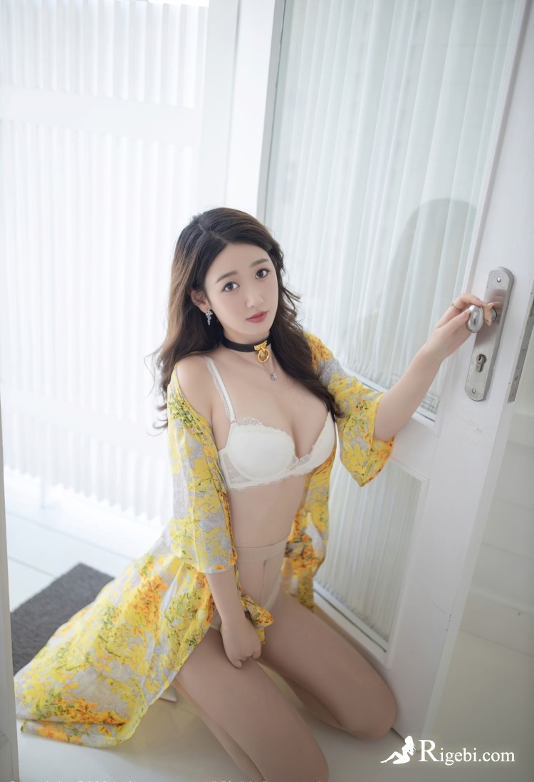 谷歌蜘蛛池出租服务：提升SEO排名的终极解决方案