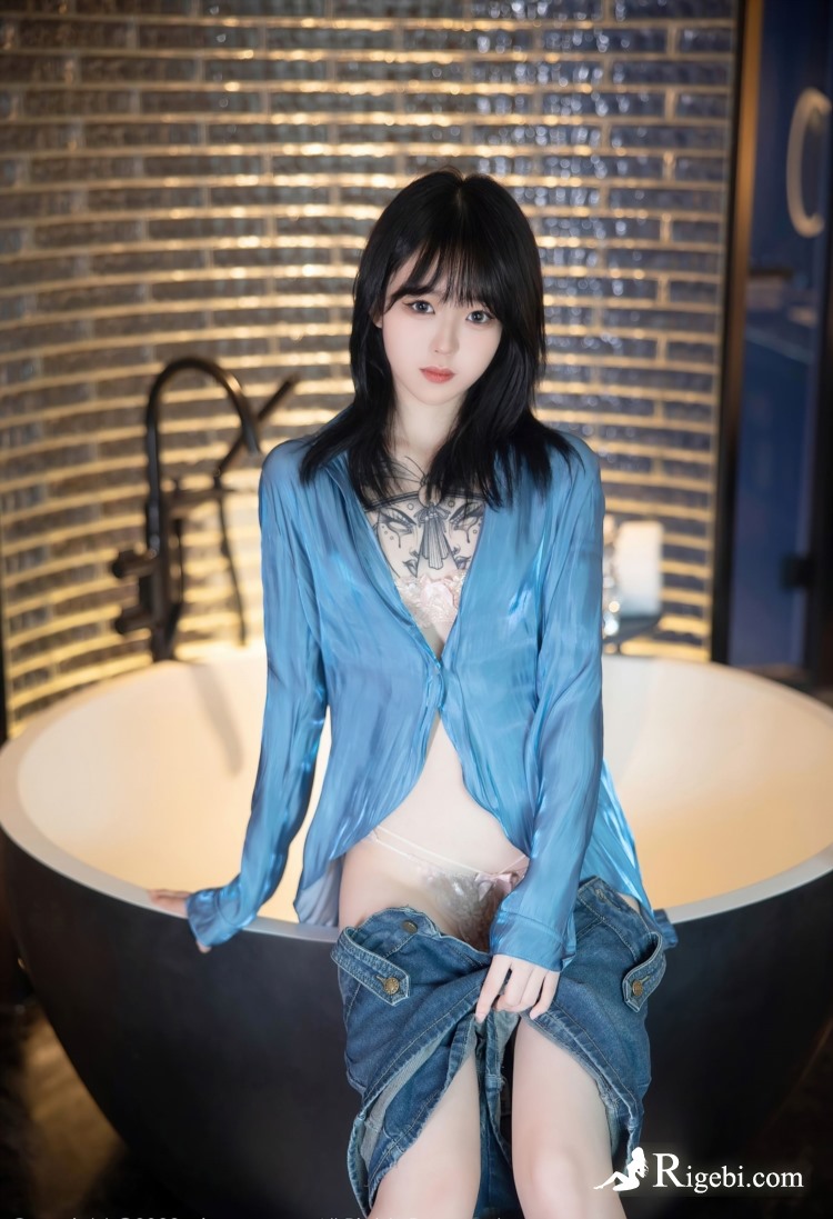 谷歌蜘蛛池出租服务助力跨境电商：2024宠物鸟用品出海指南